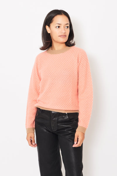Jumper 1234 Honeycomb Crew modeled from the front