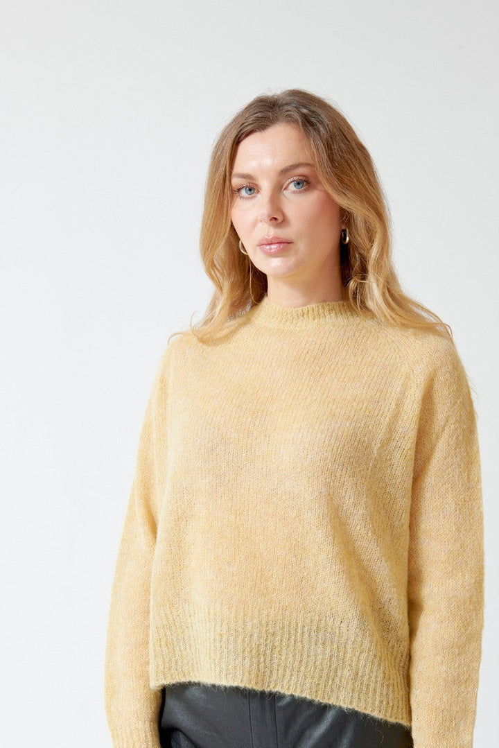 SCAGLIONE Round Neck Boxy Alpaca Pullover