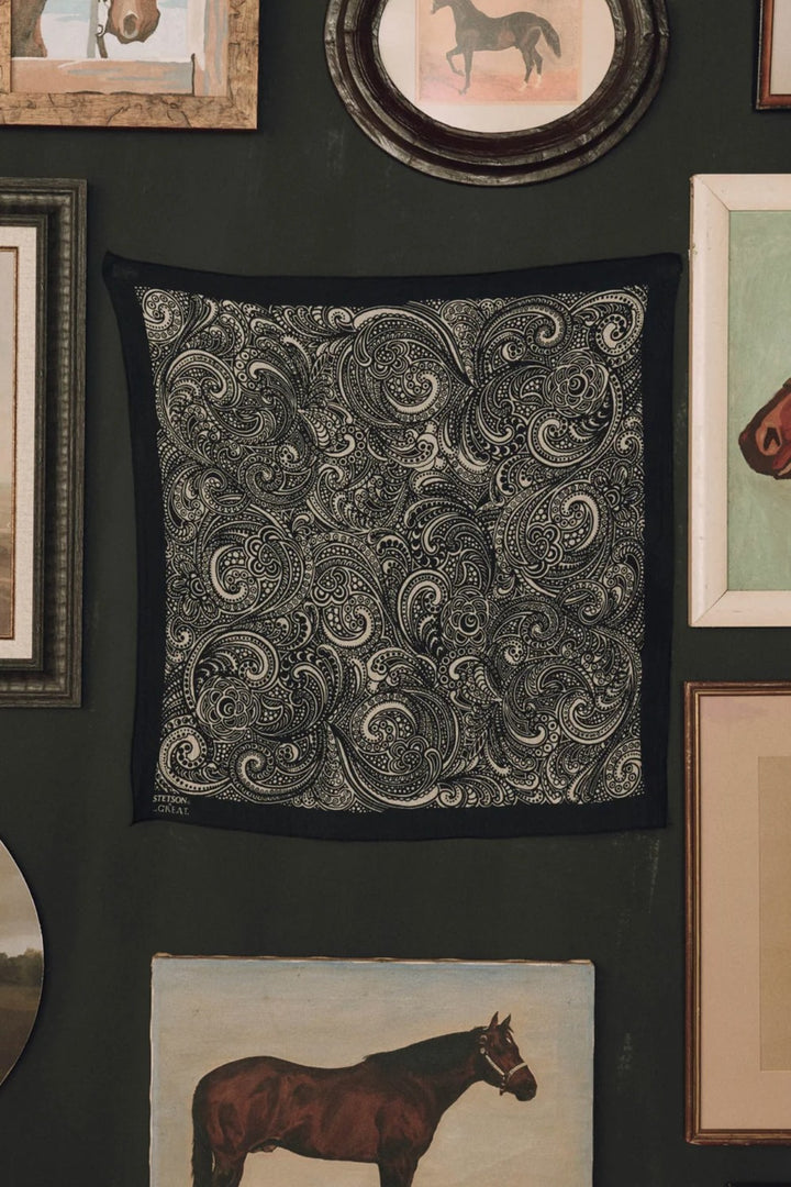 The Great The Stetson Western Paisley Scarf