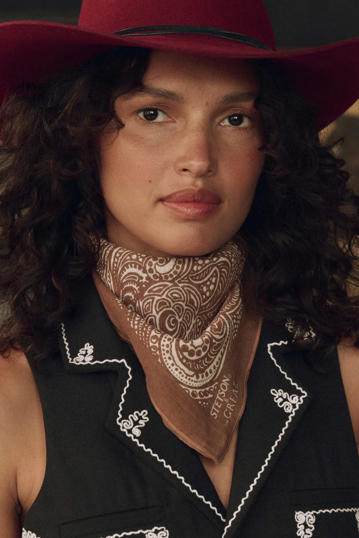The Great The Stetson Western Paisley Scarf